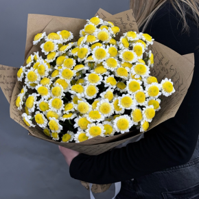 Букет "Моё солнышко" из 11 хризантем сантини  в Хотьково
