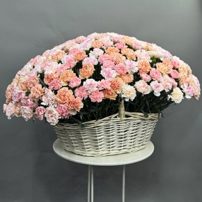 Композиция в корзине из 251 диантуса микс в Хотьково