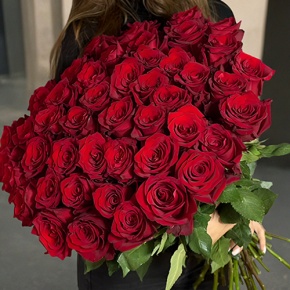 Букет 51 роза Эквадор Эксплорер (70 см) в Хотьково