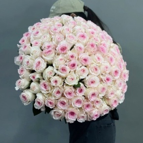 Букет из 101 махровой пионовидной розы Эквадор (60 см) в Хотьково