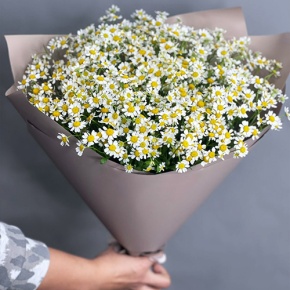 Букет из 17 ромашек танацетум в Хотьково