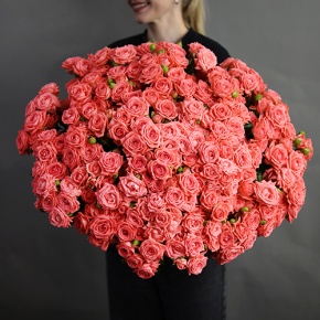 Букет из 39 коралловых кустовых роз (50 см) в Хотьково