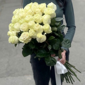 Монобукет из 25 роз Эквадор Мондиаль (80 см) в Хотьково