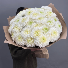 Букет из 27 хризантем Магнум в Хотьково