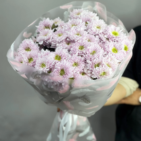 Букет "Нежный комплимент" из 9 кустовых хризантем в Хотьково