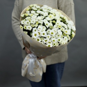 Букет "Милая моя" из 17 хризантем сантини в Хотьково