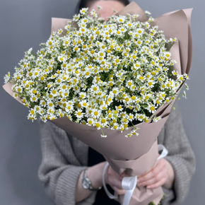Букет из 17 полевых ромашек в Хотьково