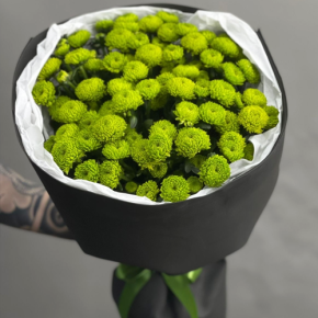 Стильный букет "Лайм" из 15 хризантем сантини в Хотьково