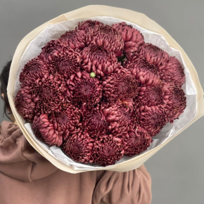 Букет 21 шоколадной хризантемы Бигоуди в Хотьково