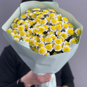 Букет "Моё солнышко" из 17 хризантем сантини  в Хотьково