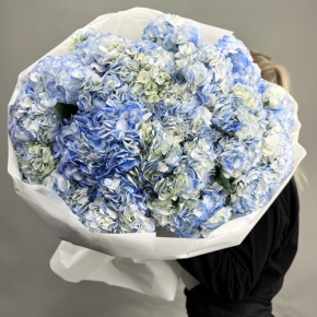 Букет из 23 синих гортензий в Хотьково