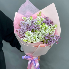 Букет из 11 веток сирени микс в Хотьково
