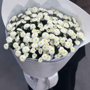 Букет "Белая дымка" из 25 хризантем сантини в Хотьково