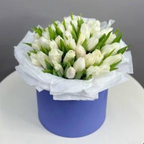 Букет из 49 белых тюльпанов в синей коробке в Хотьково
