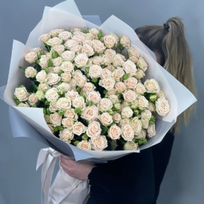 Букет из 25 кремовых кустовых роз (70 см) в Хотьково
