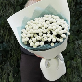 Букет из 25 хризантем Ньютон в Хотьково