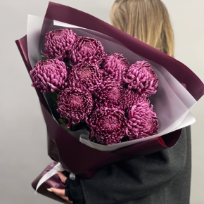 Букет "Изобилие" из 11 винных хризантем Бигоуди в Хотьково