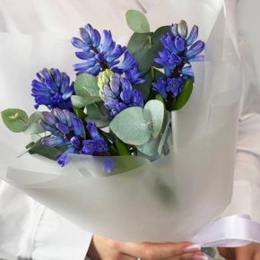 Букет "Мини" из 5 ароматных гиацинтов и эвкалипта в Хотьково