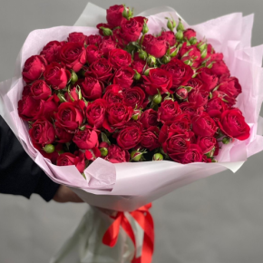 Букет из 17 красных кустовых пионовидных роз (50 см) в Хотьково