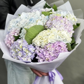 Букет из 9 Голландских гортензий микс в Хотьково