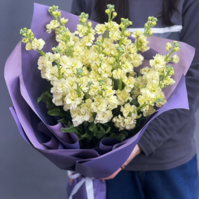 Букет из 15 лимонных маттиол в Хотьково