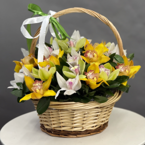 Композиция в корзине из 25 орхидей микс в Хотьково