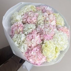 Букет из 17 нежных гортензий в Хотьково