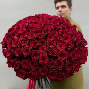 Букет из 101 красной Эквадорской розы Эксплорер (70 см) в Хотьково