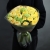 Букет "Фисташковый сорбет" из пионовидных роз Баттеркап и вибирнума в Хотьково Букет "Фисташковый сорбет" из пионовидных роз Баттеркап и вибирнума в Хотьково