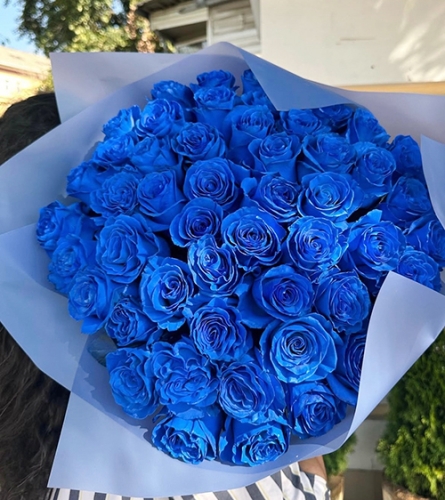 Букет из 51 синей розы Эквадор (60 см) в Хотьково