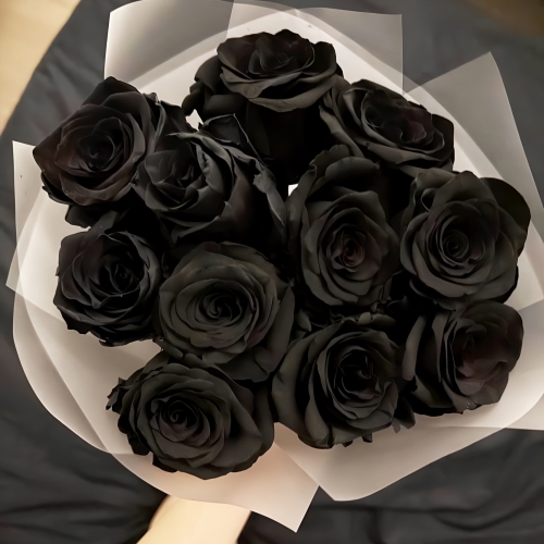 Букет "Черная королева" из 11 черных роз Эквадор (60 см) в Хотьково