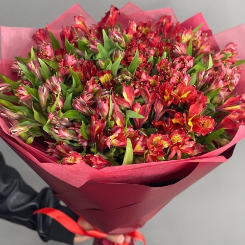 Монобукет из 25 красных альстромерий в Хотьково