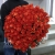 Букет 101 коралловая роза (60 см) в Хотьково