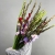 Букет из 25 гладиолусов микс в Хотьково