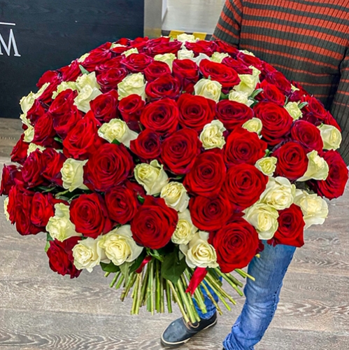 Букет 151 роза красный и белый микс (60 см) в Хотьково