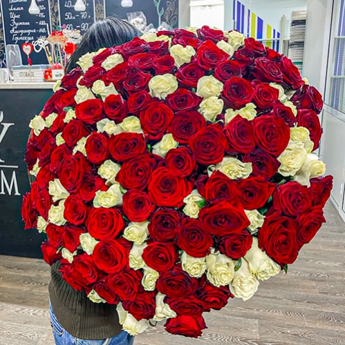 Букет 151 роза красный и белый микс (60 см) в Хотьково