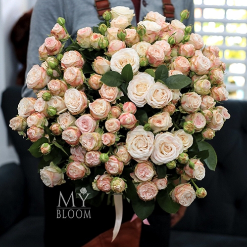 Букет 51 пионовидная роза Бомбастик (60 см) в Хотьково