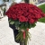 Букет из 101 красной розы (90 см) в Хотьково