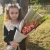 Букет на 1 сентября из 5 розовых гладиолусов в Хотьково