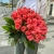 Букет 51 роза коралл (60 см) в Хотьково