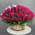 Композиция в корзине из 151 малиновой розы в Хотьково Композиция в корзине из 151 малиновой розы в Хотьково