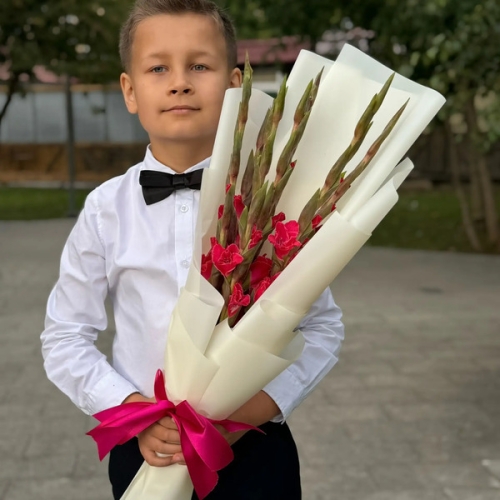 Букет на 1 сентября из 7 малиновых гладиолусов в Хотьково