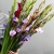 Букет из 25 гладиолусов микс в Хотьково